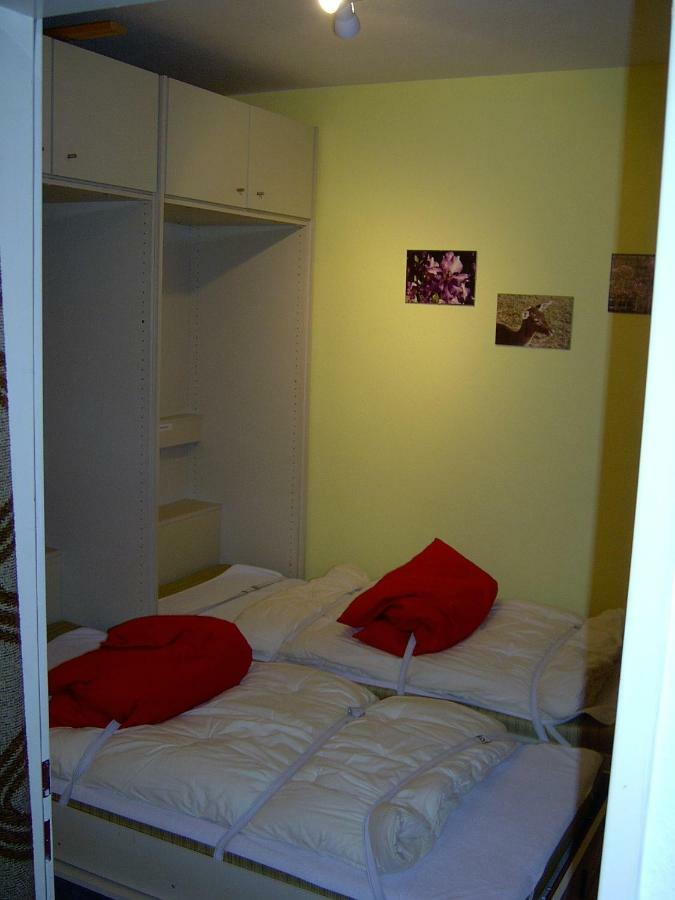 Ferienwohnung Witte Sankt Andreasberg Exteriör bild