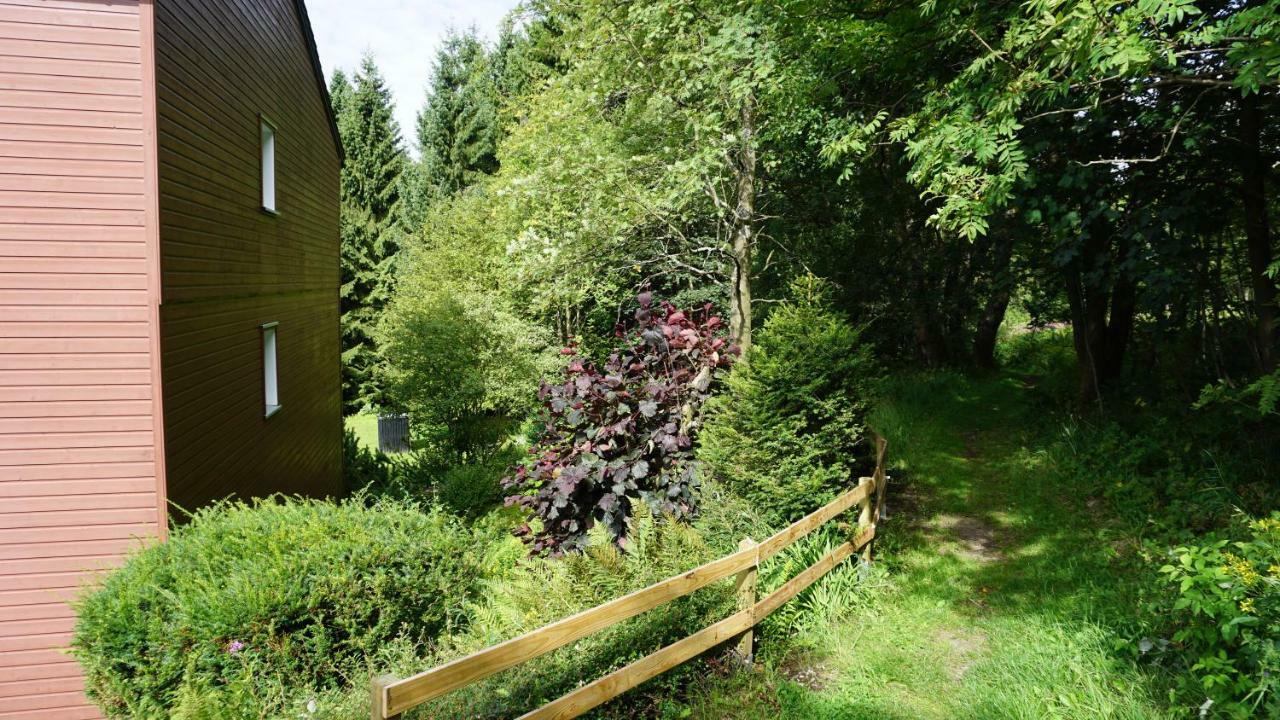 Ferienwohnung Witte Sankt Andreasberg Exteriör bild